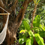 海辺のサロンPono宮古島ロミロミマッサージのアイキャッチ