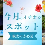 宮古島 今月のイチオシスポット