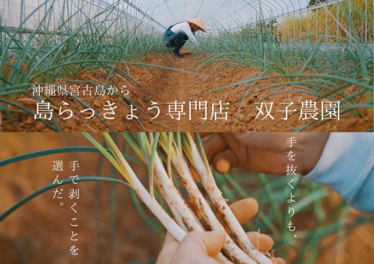 宮古島で唯一の島らっきょうブランド　手剥き島らっきょう「白むく。」